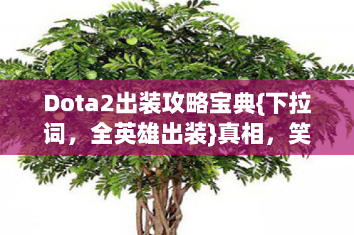 Dota2出装攻略宝典图片