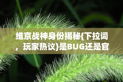 是BUG还是官方彩蛋图片