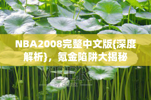 NBA2008完整中文版图片