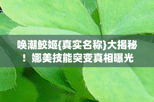 娜美技能突变真相曝光图片