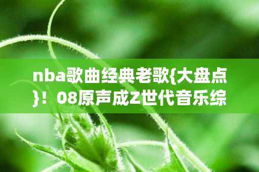 nba歌曲经典老歌{大盘点}！08原声成Z世代音乐综艺新潮流