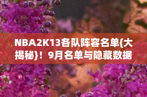 NBA2K13各队阵容名单{大揭秘}!9月名单与隐藏数据真相 NBA2K13各队阵容名单{大揭秘}!9月名单与隐藏数据真相