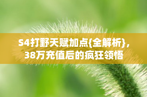 38万充值后的疯狂领悟图片