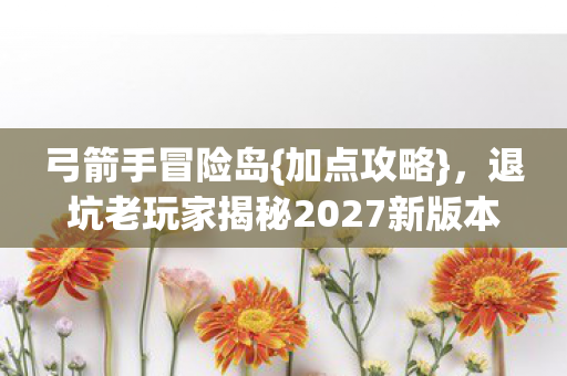 退坑老玩家揭秘2027新版本加点图片