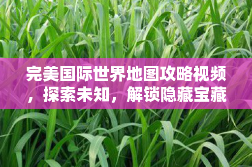 完美国际世界地图攻略视频图片