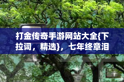 打金传奇手游网站大全图片