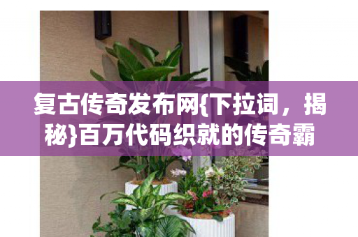 百万代码织就的传奇霸业图片