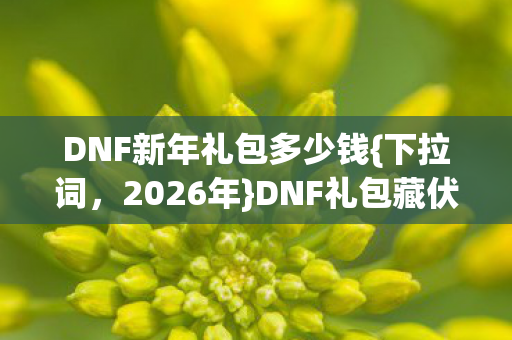 DNF礼包藏伏笔引泪目图片
