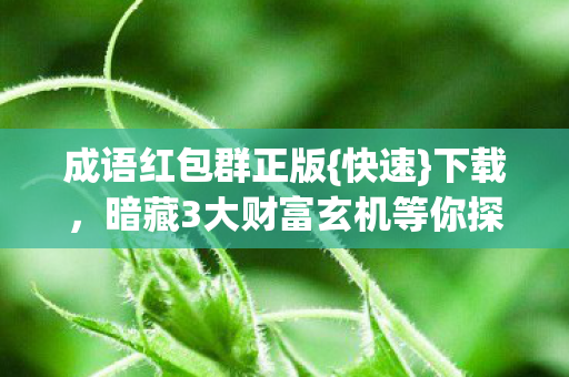暗藏3大财富玄机等你探图片