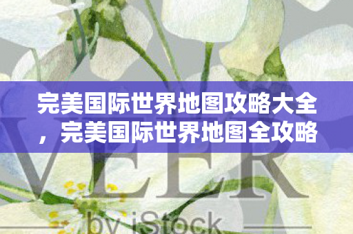完美国际世界地图攻略大全图片