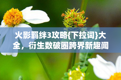 衍生数破圈跨界新趣闻图片