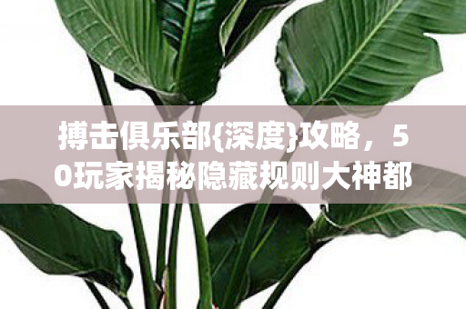50玩家揭秘隐藏规则大神都绷不住图片