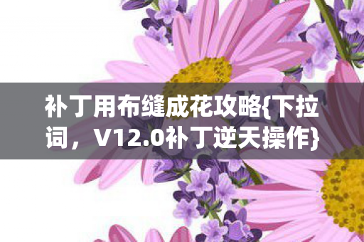补丁用布缝成花攻略图片