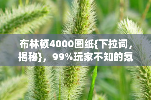 布林顿4000图纸图片
