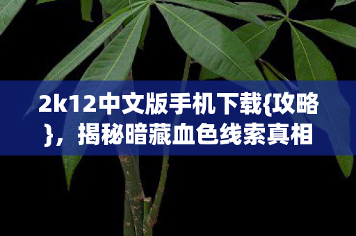 2k12中文版手机下载{攻略},揭秘暗藏血色线索真相 2k12中文版手机下载{攻略},揭秘暗藏血色线索真相