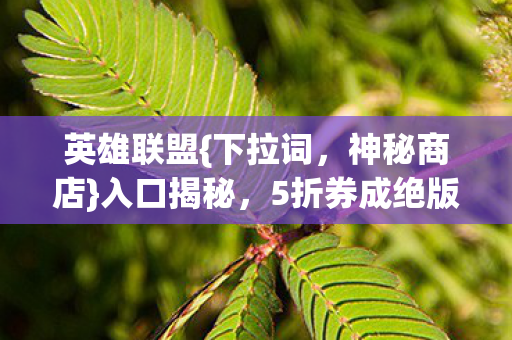 英雄联盟{下拉词，神秘商店}入口揭秘，5折券成绝版引热议