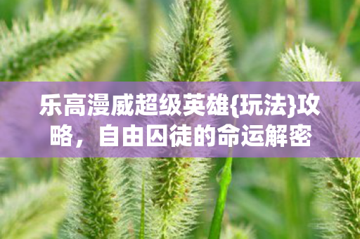 乐高漫威超级英雄{玩法}攻略,自由囚徒的命运解密 乐高漫威超级英雄{玩法}攻略,自由囚徒的命运解密