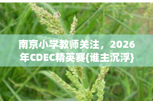2026年CDEC精英赛图片