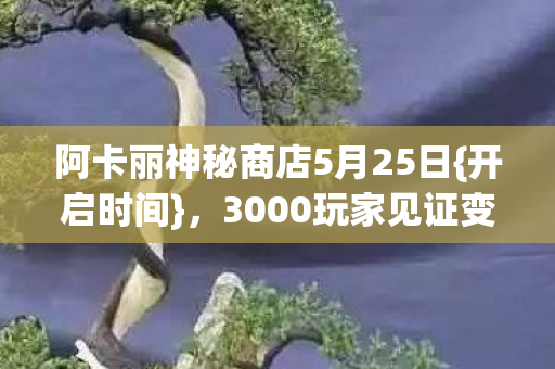 阿卡丽神秘商店5月25日图片
