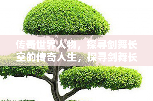探寻剑舞长空的传奇人生图片