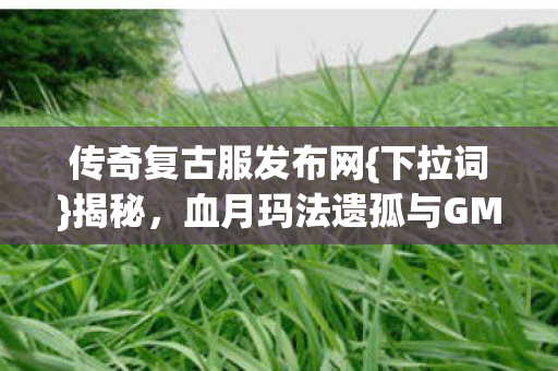 血月玛法遗孤与GM诅咒之火图片