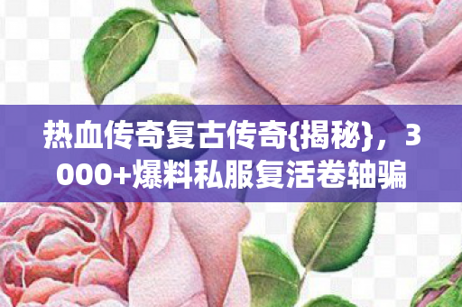 爆料私服复活卷轴骗局图片