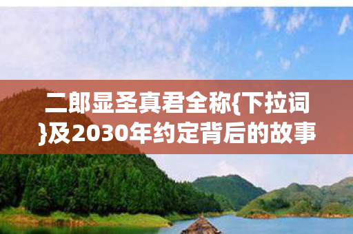 及2030年约定背后的故事图片