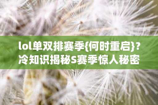 冷知识揭秘S赛季惊人秘密图片