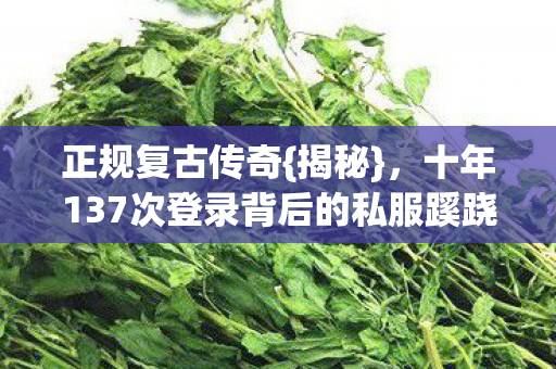 十年137次登录背后的私服蹊跷图片