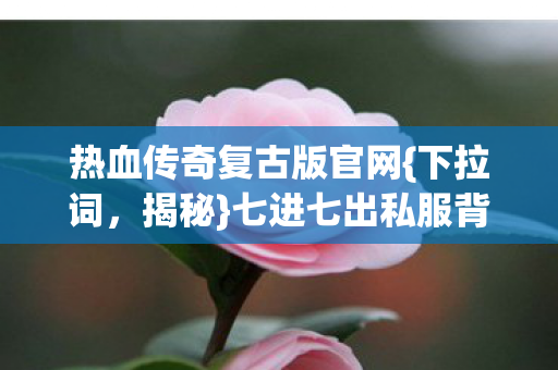 七进七出私服背后的真相图片