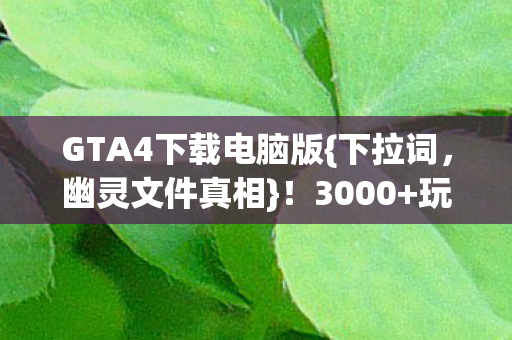 GTA4下载电脑版图片
