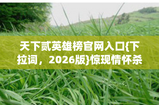天下贰英雄榜官网入口图片