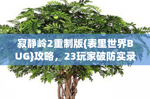 23玩家破防实录图片