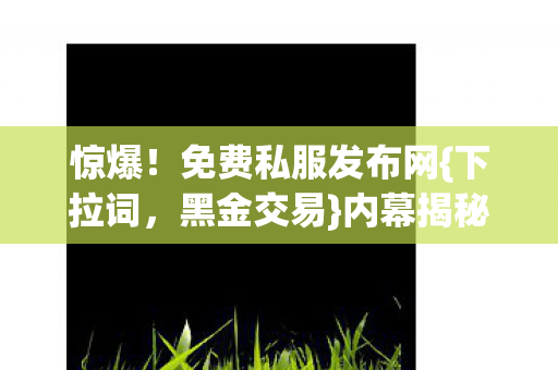 内幕揭秘500万图片