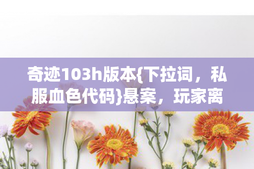 奇迹103h版本图片