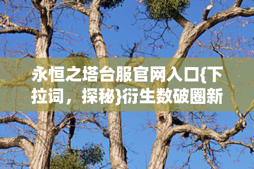 永恒之塔台服官网入口图片