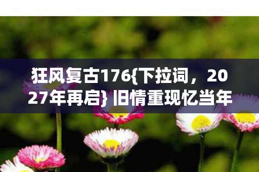 狂风复古176图片