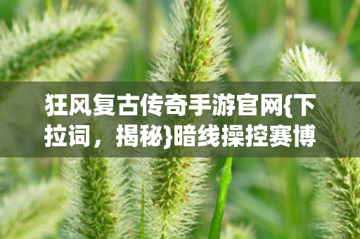 狂风复古传奇手游官网图片