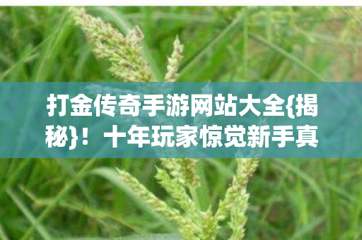 打金传奇手游网站大全图片