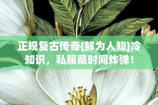 私服藏时间炸弹图片