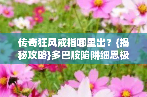 传奇狂风戒指哪里出图片