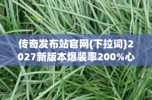 2027新版本爆装率200图片