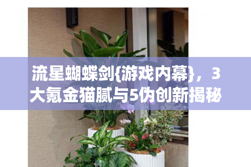 3大氪金猫腻与5伪创新揭秘图片