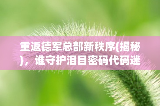 谁守护泪目密码代码迷雾中图片