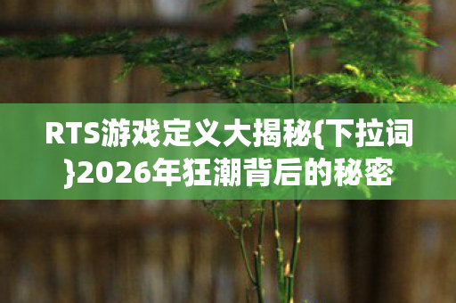 2026年狂潮背后的秘密图片