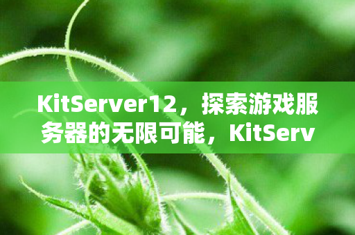 KitServer12，探索游戏服务器的无限可能，KitServer12，探索游戏服务器的无限可能