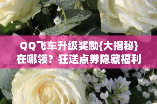 QQ飞车升级奖励{大揭秘}在哪领?狂送点券隐藏福利多 QQ飞车升级奖励{大揭秘}在哪领?狂送点券隐藏福利多