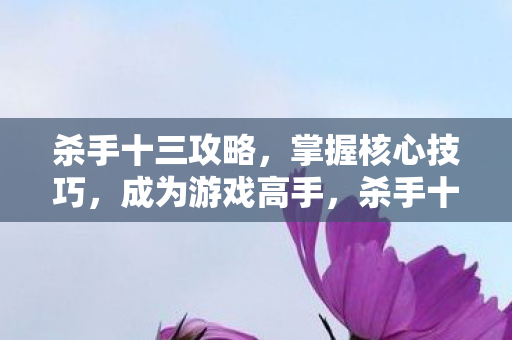杀手十三攻略，掌握核心技巧，成为游戏高手，杀手十三，掌握核心技巧，成为游戏高手