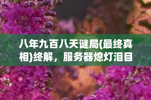 八年九百八天谜局图片