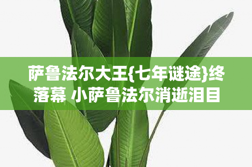 萨鲁法尔大王{七年谜途}终落幕 小萨鲁法尔消逝泪目 萨鲁法尔大王{七年谜途}终落幕 小萨鲁法尔消逝泪目